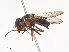  ( - CBG-A46921-F01)  @11 [ ] CreativeCommons - Attribution Share - Alike (2024) CBG Photography Group Centre for Biodiversity Genomics