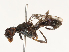  ( - CBG-A67105-G07)  @11 [ ] CreativeCommons - Attribution Share - Alike (2025) CBG Photography Group Centre for Biodiversity Genomics