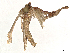  ( - CBG-A13308-D05)  @11 [ ] CreativeCommons - Attribution Share - Alike (2023) CBG Photography Group Centre for Biodiversity Genomics