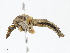  ( - CBG-A13353-C08)  @11 [ ] CreativeCommons - Attribution Share - Alike (2023) CBG Photography Group Centre for Biodiversity Genomics