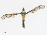  ( - CBG-A13354-E02)  @11 [ ] CreativeCommons - Attribution Share - Alike (2023) CBG Photography Group Centre for Biodiversity Genomics
