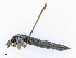  ( - CBG-A13355-H03)  @11 [ ] CreativeCommons - Attribution Share - Alike (2023) CBG Photography Group Centre for Biodiversity Genomics