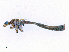  ( - CBG-A13355-H05)  @11 [ ] CreativeCommons - Attribution Share - Alike (2023) CBG Photography Group Centre for Biodiversity Genomics