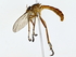  ( - BIOUG77712-F04)  @11 [ ] CreativeCommons - Attribution (2022) CBG Photography Group Centre for Biodiversity Genomics
