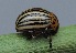  ( - IP_A075)  @11 [ ] by-nc-sa (2020) Ivica Pakrac Varazdin City Museum