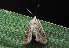  ( - IP_A232)  @12 [ ] by-nc-sa (2020) Ivica Pakrac Varazdin City Museum
