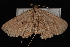  ( - 09-JDWGEO-302)  @11 [ ] CreativeCommons - Attribution (2010) Unspecified University of British Columbia