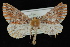  ( - 09-JDWGEO-400)  @13 [ ] CreativeCommons - Attribution (2010) Unspecified University of British Columbia