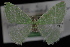  ( - 09-JDWGEO-314)  @11 [ ] CreativeCommons - Attribution (2010) Unspecified University of British Columbia