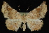  ( - 09-JDWGEO-413)  @14 [ ] CreativeCommons - Attribution (2010) Unspecified University of British Columbia