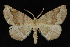  ( - 09-JDWGEO-415)  @14 [ ] CreativeCommons - Attribution (2010) Unspecified University of British Columbia