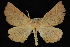  ( - 09-JDWGEO-419)  @11 [ ] CreativeCommons - Attribution (2010) Unspecified University of British Columbia