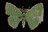  ( - 09-JDWGEO-329)  @13 [ ] CreativeCommons - Attribution (2010) Unspecified University of British Columbia