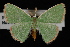  ( - 09-JDWGEO-330)  @14 [ ] CreativeCommons - Attribution (2010) Unspecified University of British Columbia