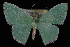  ( - 09-JDWGEO-332)  @11 [ ] CreativeCommons - Attribution (2010) Unspecified University of British Columbia