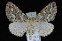  ( - 09-JDWGEO-430)  @14 [ ] CreativeCommons - Attribution (2010) Unspecified University of British Columbia