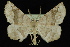  ( - 09-JDWGEO-434)  @11 [ ] CreativeCommons - Attribution (2010) Unspecified University of British Columbia