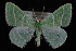  ( - 09-JDWGEO-342)  @13 [ ] CreativeCommons - Attribution (2010) Unspecified University of British Columbia