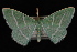  ( - 09-JDWGEO-343)  @13 [ ] CreativeCommons - Attribution (2010) Unspecified University of British Columbia