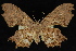  ( - 09-JDWGEO-446)  @11 [ ] CreativeCommons - Attribution (2010) Unspecified University of British Columbia