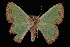  ( - 09-JDWGEO-360)  @13 [ ] CreativeCommons - Attribution (2010) Unspecified University of British Columbia