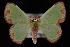  ( - 09-JDWGEO-361)  @11 [ ] CreativeCommons - Attribution (2010) Unspecified University of British Columbia