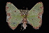  ( - 09-JDWGEO-362)  @13 [ ] CreativeCommons - Attribution (2010) Unspecified University of British Columbia