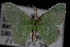  ( - 09-JDWGEO-369)  @11 [ ] CreativeCommons - Attribution (2010) Unspecified University of British Columbia