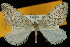  (Tescalsia - 09-JDWGEO-465)  @14 [ ] CreativeCommons - Attribution (2010) Unspecified University of British Columbia