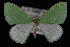 ( - 09-JDWGEO-373)  @13 [ ] CreativeCommons - Attribution (2010) Unspecified University of British Columbia