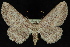  ( - 09-JDWGEO-468)  @14 [ ] CreativeCommons - Attribution (2010) Unspecified University of British Columbia