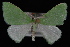  ( - 09-JDWGEO-375)  @13 [ ] CreativeCommons - Attribution (2010) Unspecified University of British Columbia