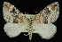  ( - 09-JDWGEO-475)  @14 [ ] CreativeCommons - Attribution (2010) Unspecified University of British Columbia