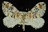  ( - 09-JDWGEO-476)  @14 [ ] CreativeCommons - Attribution (2010) Unspecified University of British Columbia