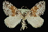  ( - 09-JDWGEO-477)  @13 [ ] CreativeCommons - Attribution (2010) Unspecified University of British Columbia