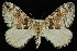  ( - 09-JDWGEO-478)  @13 [ ] CreativeCommons - Attribution (2010) Unspecified University of British Columbia