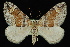  ( - 09-JDWGEO-479)  @11 [ ] CreativeCommons - Attribution (2010) Unspecified University of British Columbia