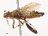  ( - CBG-B07460-E03)  @11 [ ] CreativeCommons - Attribution Share - Alike (2025) CBG Photography Group Centre for Biodiversity Genomics