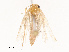  ( - CBG-B07460-E12)  @11 [ ] CreativeCommons - Attribution Share - Alike (2025) CBG Photography Group Centre for Biodiversity Genomics