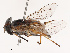  ( - CBG-B07460-H07)  @11 [ ] CreativeCommons - Attribution Share - Alike (2025) CBG Photography Group Centre for Biodiversity Genomics