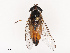  ( - CBG-B07461-A03)  @11 [ ] CreativeCommons - Attribution Share - Alike (2025) CBG Photography Group Centre for Biodiversity Genomics