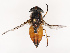  ( - CBG-B07461-A04)  @11 [ ] CreativeCommons - Attribution Share - Alike (2025) CBG Photography Group Centre for Biodiversity Genomics