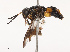  ( - CBG-B07462-D11)  @11 [ ] CreativeCommons - Attribution Share - Alike (2025) CBG Photography Group Centre for Biodiversity Genomics