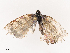  ( - CBG-B07598-A02)  @11 [ ] CreativeCommons - Attribution Share - Alike (2025) CBG Photography Group Centre for Biodiversity Genomics