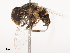  ( - CBG-B07600-G03)  @11 [ ] CreativeCommons - Attribution Share - Alike (2025) CBG Photography Group Centre for Biodiversity Genomics
