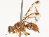  ( - CBG-B07602-G07)  @11 [ ] CreativeCommons - Attribution Share - Alike (2025) CBG Photography Group Centre for Biodiversity Genomics