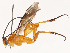  ( - CBG-B07602-G11)  @11 [ ] CreativeCommons - Attribution Share - Alike (2025) CBG Photography Group Centre for Biodiversity Genomics