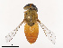  ( - CBG-B19179-A04)  @11 [ ] CreativeCommons - Attribution Share - Alike (2025) CBG Photography Group Centre for Biodiversity Genomics