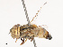  ( - CBG-B19179-B01)  @11 [ ] CreativeCommons - Attribution Share - Alike (2025) CBG Photography Group Centre for Biodiversity Genomics