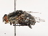  ( - CBG-B19179-B02)  @11 [ ] CreativeCommons - Attribution Share - Alike (2025) CBG Photography Group Centre for Biodiversity Genomics